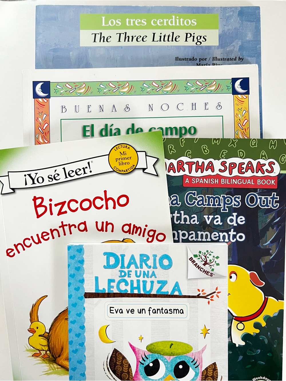 Spanish Children's Books (Bundle of 5)